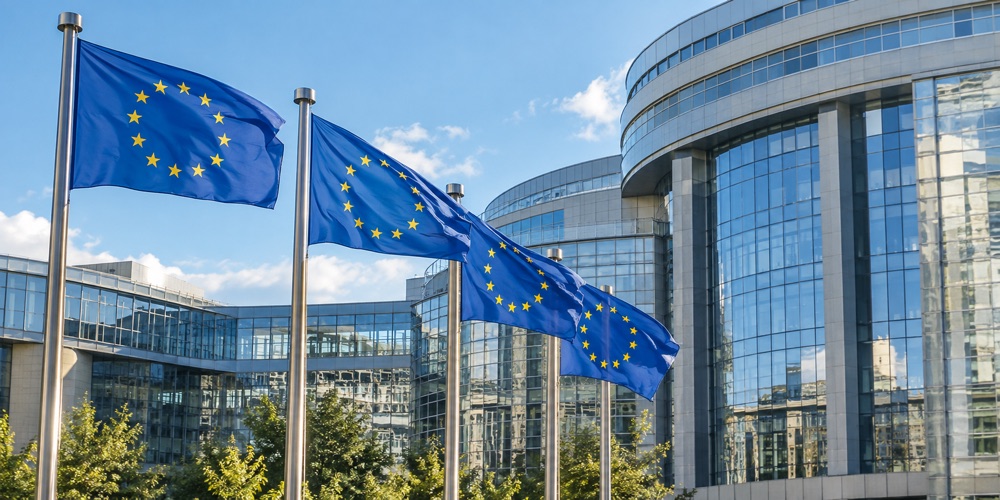 Illustration of European flags outside a public institution
